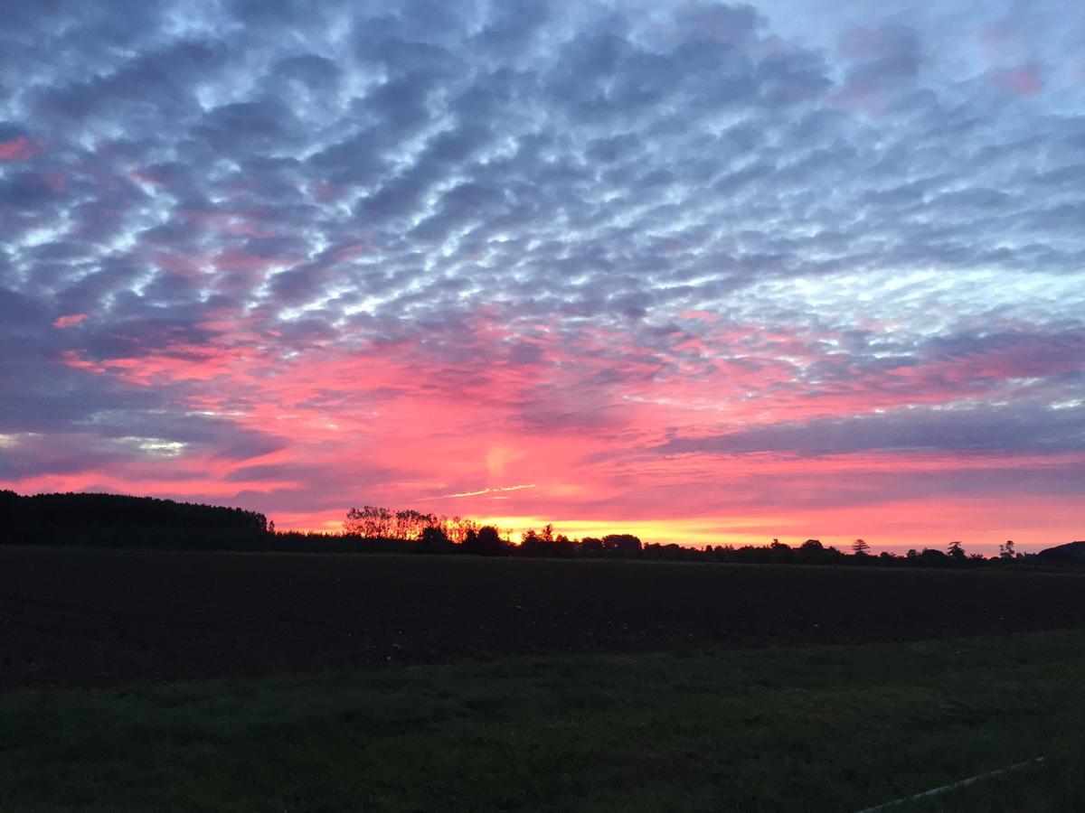 La Girarde Bed and Breakfast Saint-Quentin-de-Caplong Exteriör bild